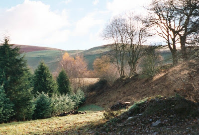 Landscape